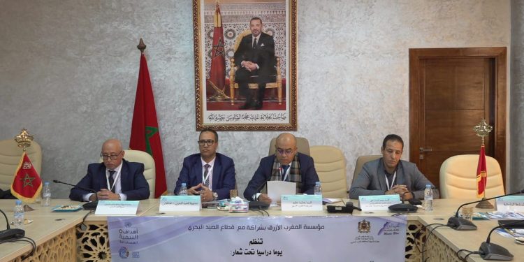 طانطان: أشغال يوم دراسي حول المحميات البحرية تختتم بالإعلان عن إحداث منطقة بحرية محية