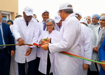 الداخلة: زكية الدريوش تشرف على تدشين وحدة لتصبير السمك.