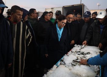 زكية الدريوش تتابع عن كثب جهود  تموين سوق الاستهلاك من المنتجات البحرية