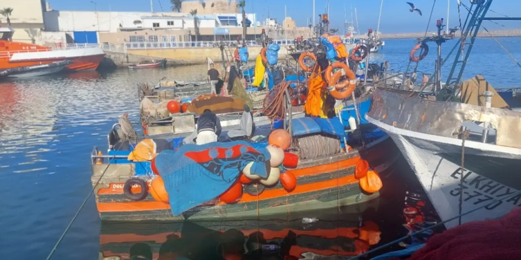 الجديدة: مقترح وزارة الصيد البحري يثير جدلاً حول مستقبل “السويلكة”