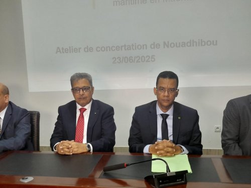 وزير الصيد الموريتاني يفتتح ورشة عمل حول المخطط التوجيهي للبنية التحتية لقطاع الصيد البحري 2040
