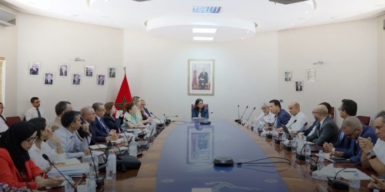 الدريوش تجتمع مع رواد صناعة السمك السطحي لبحث سبل مواجهة أزمة السردين في الأقاليم الجنوبية