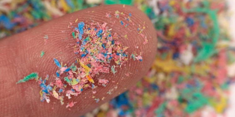 مهندسون أمريكيون يبتكرون بلاستيكاً حيوياً آمناً للمحيطات يقضي على التلوث البلاستيكي