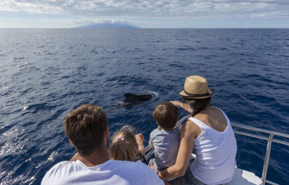 السياحة البحرية المستدامة: جزر الأطلسي تقدم نموذجًا لحماية المحيط