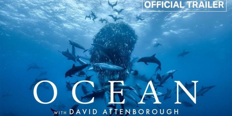 ديفيد أتينبورو: المحيطات أهم من اليابسة.. هل تستجيب قمم الدول لنداء الطوارئ؟