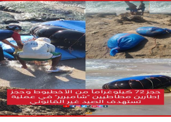 حجز 72 كيلوغراماً من الأخطبوط في عملية ضد الصيد غير القانوني عبر الإطارات المطاطية