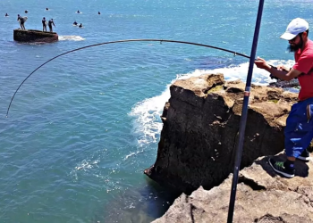 «ANEF».. دينامية جديدة لتعزيز الصيد الرياضي المستدام بحدث ترويجي في الصويرة