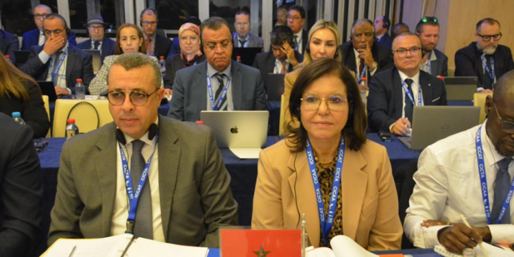 مشاركة المملكة المغربية في أشغال الاجتماع التاسع والعشرين العادي للجنة الدولية للمحافظة على أسماك التونة في المحيط الأطلسي