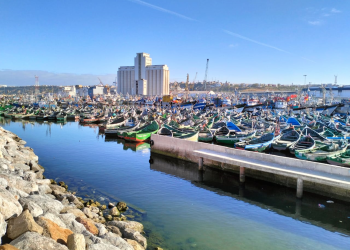 المطالبة بفتح سوق السمك بالجملة باسفي خلال الفترة الليلية للحفاظ على المنتوج السمكي