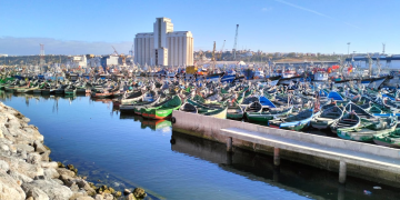 المطالبة بفتح سوق السمك بالجملة باسفي خلال الفترة الليلية للحفاظ على المنتوج السمكي