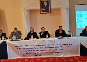 اسفي: تنظيم ورشة تكوينية لفائدة مسيري تعاونيات الصيد التقليدي بالجهة الأطلسية الشمالية.