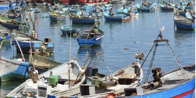 مراكب الصيد الساحلي بميناء العرائش تستأنف نشاطها بعد تحسن أحوال البحر