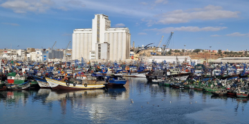 مندوبية الصيد باسفي تتشدّد في عمليات إيداع وسحب بطائق التزود بالوقود