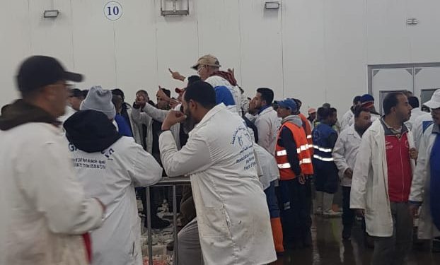 Résultat de recherche d'images pour "تجار السمك باكادير"