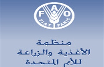 الفاو تؤكد ريادة المغرب لإفريقيا في الصيد البحري