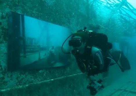 معرض للصور تحت الماء