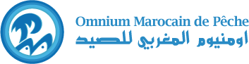 هل تحقق اللجنة الإقليمية للبحث والمصالحة  ما عجز عنه عمال ومستخدمي أومنيوم المغربي للصيد ؟