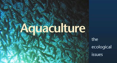 Société  « N- MAROC »   et exploitation des ressources halieutiques une relation totalement obscure