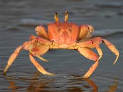 مختصرات في الاخبار البحرية الدولية خلال السنة الماضية