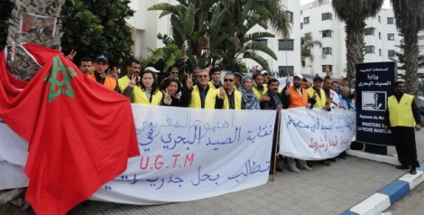 هيئات حقوقية بالرباط تتبنى ملف شركة اومنيوم المغربي للصيد