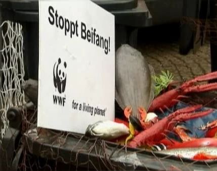 وزراء الاتحاد الأوربي يوافقون على التطبيق التدريجي لحظر إلقاء الأسماك في البحر