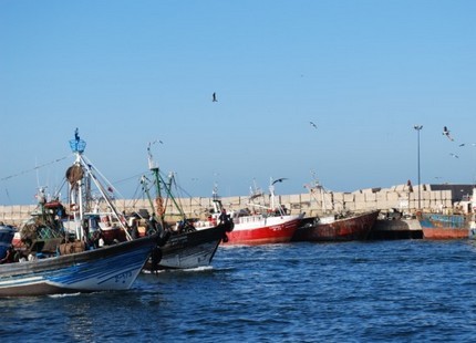 من اجل مراجعة جدرية لمدونة2004 المارد البحري يتحرك