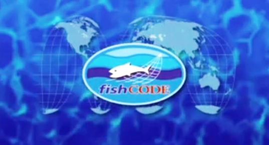 Pêche illicite, non déclarée et non réglementée – video