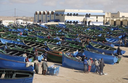 في انتظار فتح سوق السمك الجديد تستمر معاناة مهنيي الصيد البحري بمنياء بوجدور