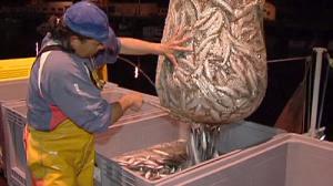 اقرار السياسة الاصلاحية الاوروبية الجديدة الخاصة بصيد الاسماك