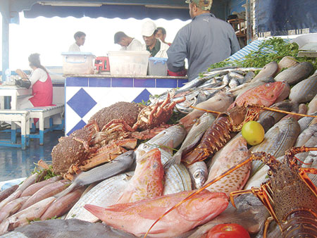 الفدرالية الوطنية لتجارالسمك تنتزع مكتسبات لفائدة المهنيين