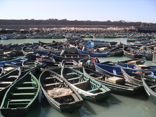 أنامل سحرية تستصدر تصريحا بانشاء تعاونية للصيد التقليدي بميناء آسفي