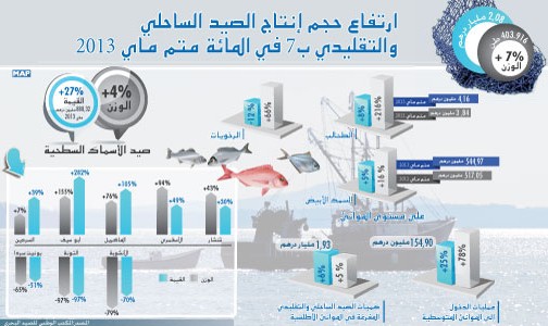 ارتفاع الكميات المفرغة للصيد الساحلي والتقليدي ب 7 في المئة متم ماي 2013  بالمغرب
