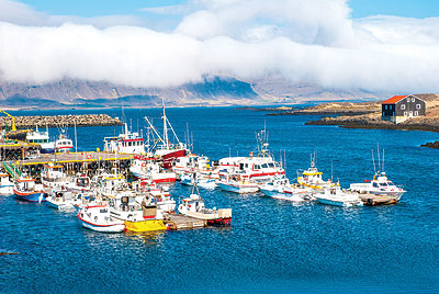 السياسة العامة الأوروبية  في مجال صيد الاسماك تؤخر انضمام اسلندا