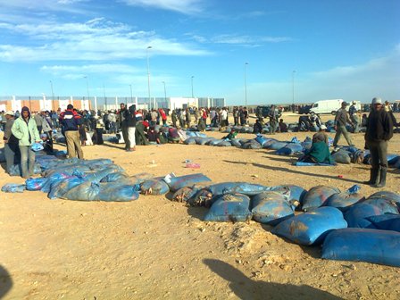ممثل غرفة الصيد التقليدي بالداخلة يحذر من الغاء الحصة الفردية للاخطبوط