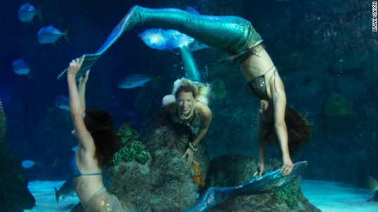 عروض لحوريات البحر بمطاعم أمريكية