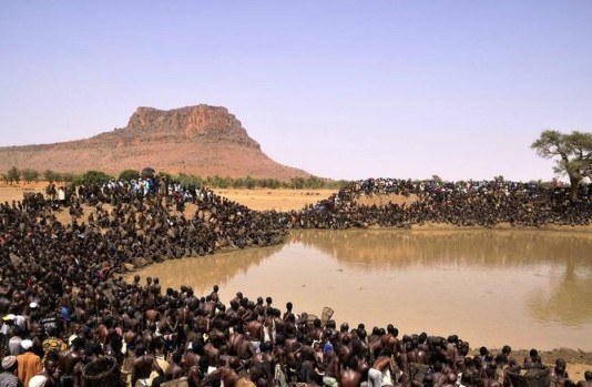 صيد أطنان من السمك في دقائق