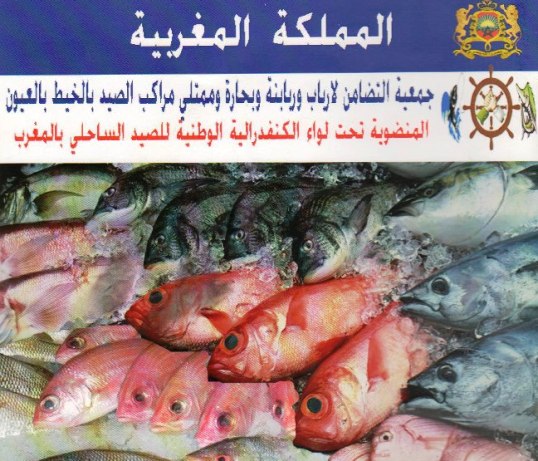 جمعية التضامن لمهنيي الصيد بالخيط بالعيون تراجع موقفها من مشروع نظام المراقبة عبر الاقمار الاصطناعية