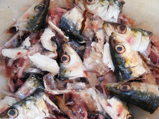 Les déchets de poisson créent de l’emploi