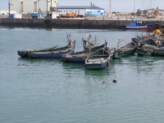 مهنيو صيد السردين  بطانطان ينفذون أولى الخطوات في مواجهة قرارات وزارة الصيد البحري التعسفية