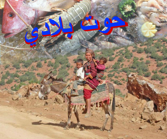 حوت بلادي للجميع