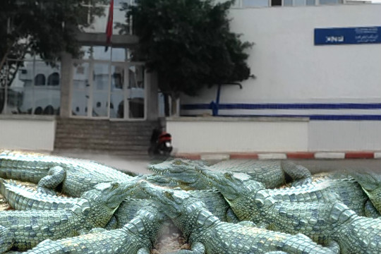 مهنيو الصيد الساحلي بالناظور يستنكرون الفساد المستشري بالمكتب الوطني للصيد