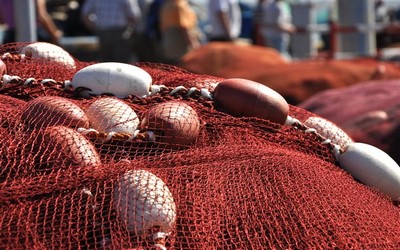 مفاوضات  بوزارة الصيد البحري حول ملف الصناديق البلاستيكية بميناء طانطان