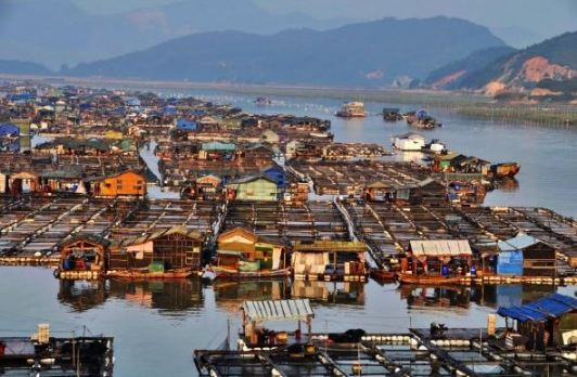 قصة قرية صينية عائمة تعتاش من الصيد