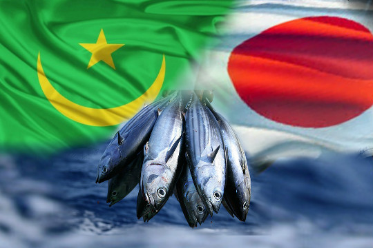 انطلاق المحادثات الموريتانية اليابانية حول الصيد البحري