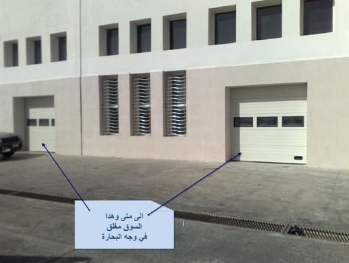 مهنيو الصيد ببوجدور يعرضون صيدهم أمام سوق السمك الجديد بالميناء