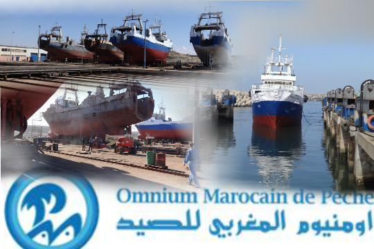 اومنيوم المغربي للصيد بطانطان استعدادات لرحلة الصيد الخريفية  بالطاقة القصوى