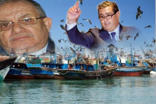 الكنفدرالية الوطنية للصيد الساحلي تستنكر  استفزازات وزارة الصيد البحري