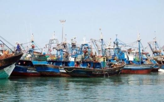 مهنيو صيد السردين بالعيون يلتمسون تدخل والي الجهة في مواجهة شطط وزارة الصيد البحري