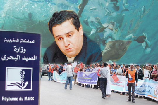 بلاغ الجامعة الوطنية لضباط وبحارة الصيد باعالي البحار على اثر قرار منع الصيد المؤقت للاخطبوط