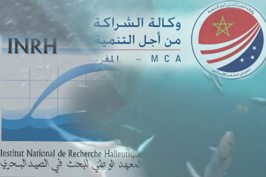 منحة الالفية الثالثة للمعهد الوطني للبحث في الصيد البحري  بغلاف المحسوبية و الزبونية